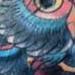 tattoo galleries/ - OWL AND SKULL - 65109